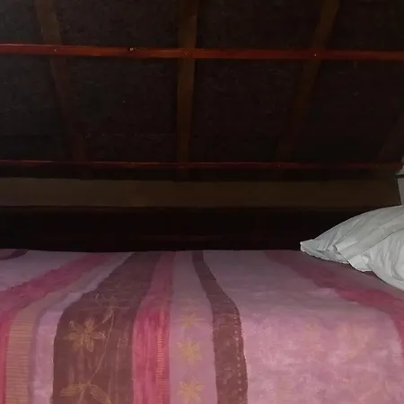 Quinta Do Castermo-floresta 5 Personnes Ribeiros